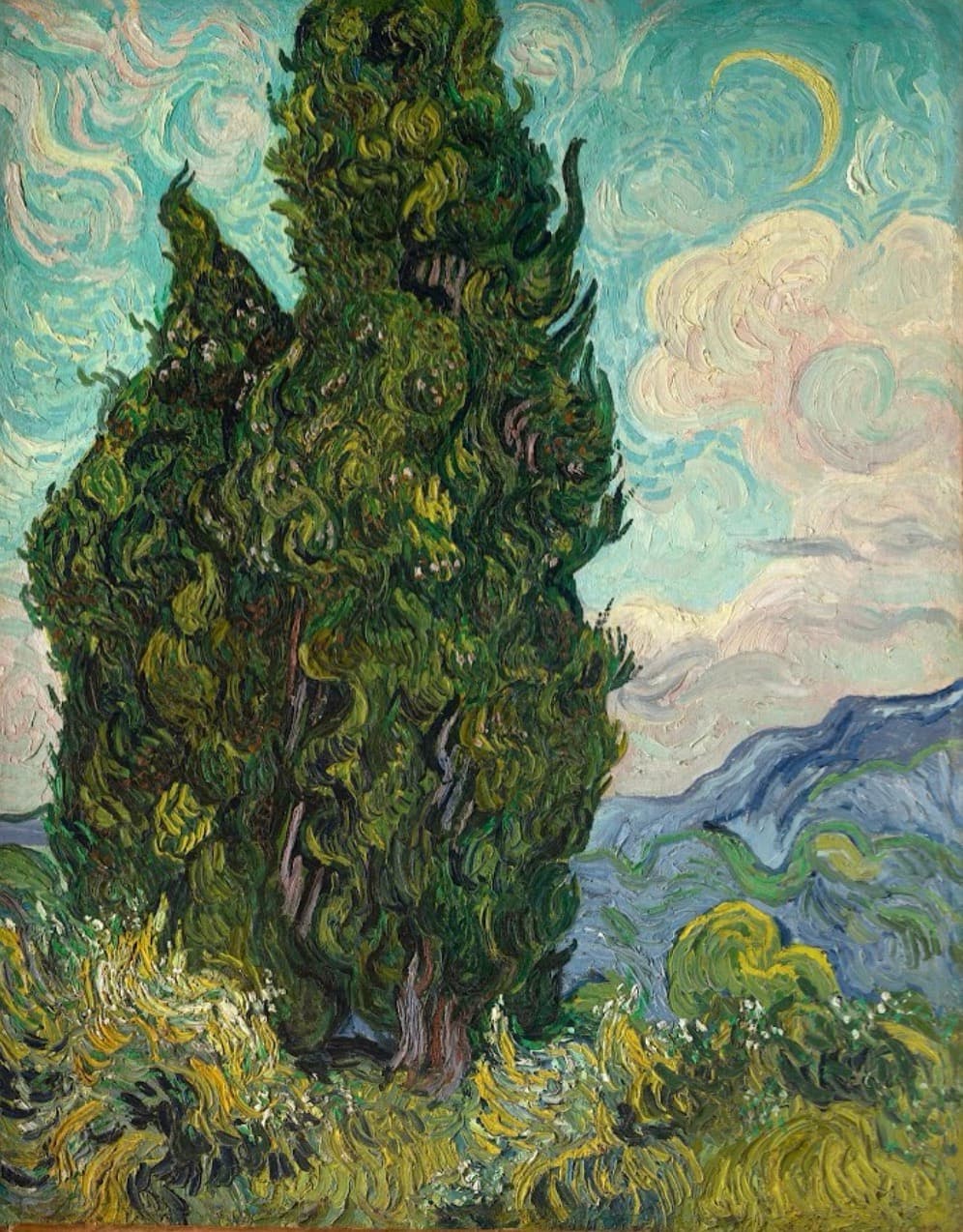 Cypresses   Van Gogh 大