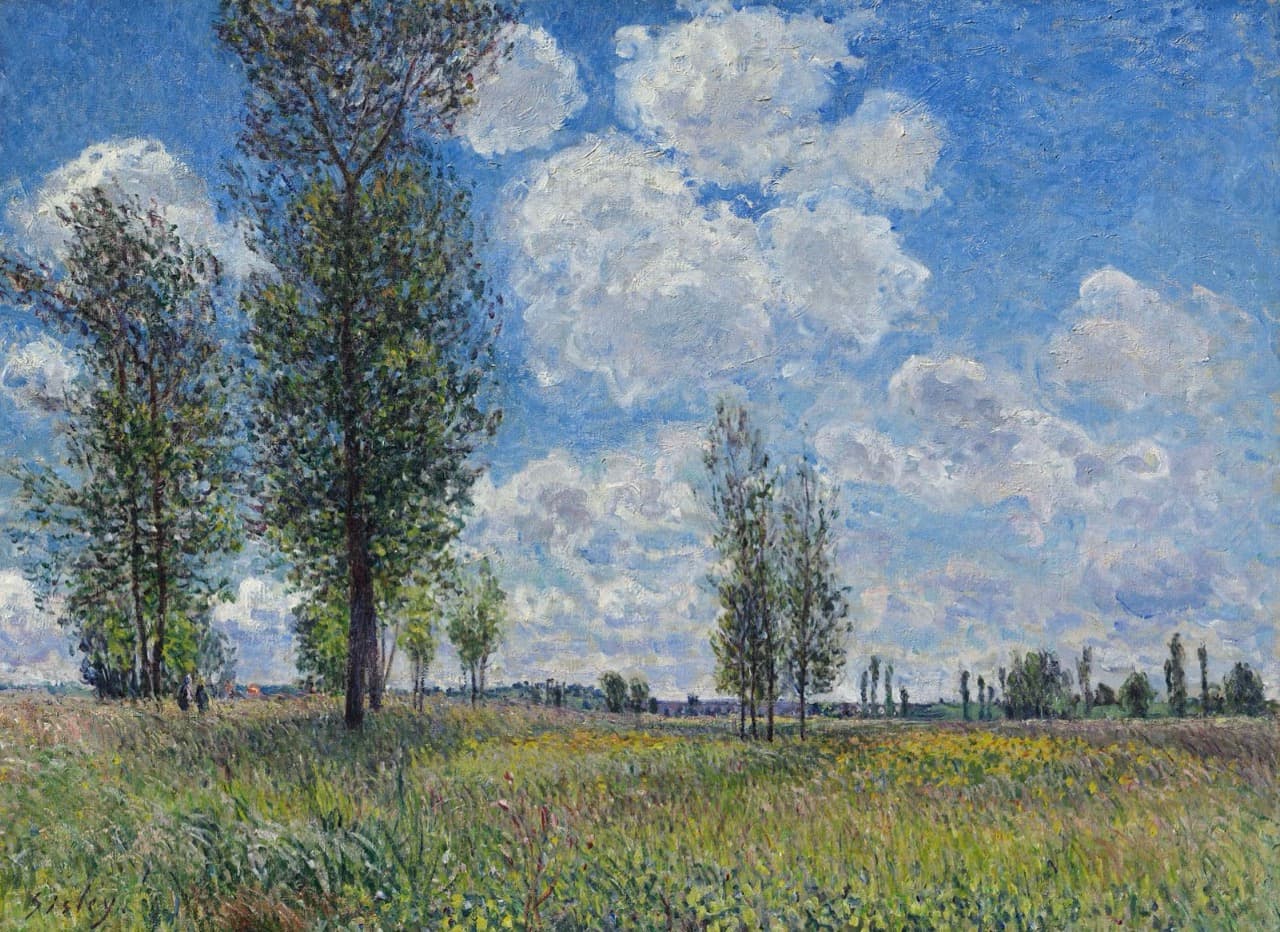 The Meadow at Veneux Nadon   sisley大