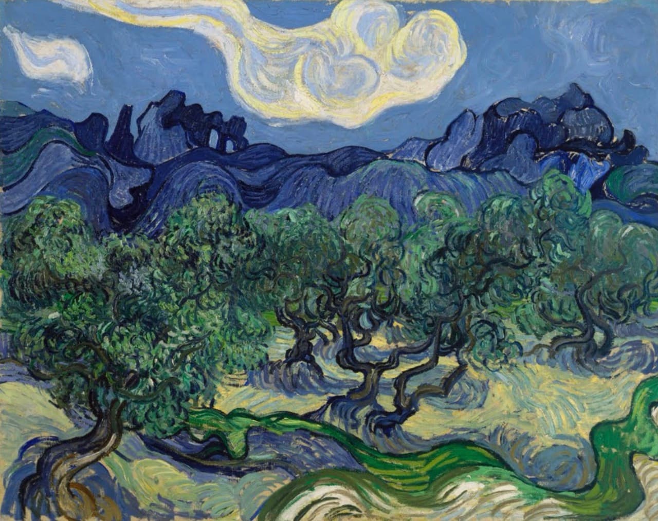 The Olive Trees   Van Gogh大
